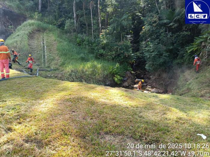 Conserva Verde no  Contorno Viário de Florianópolis/SC.